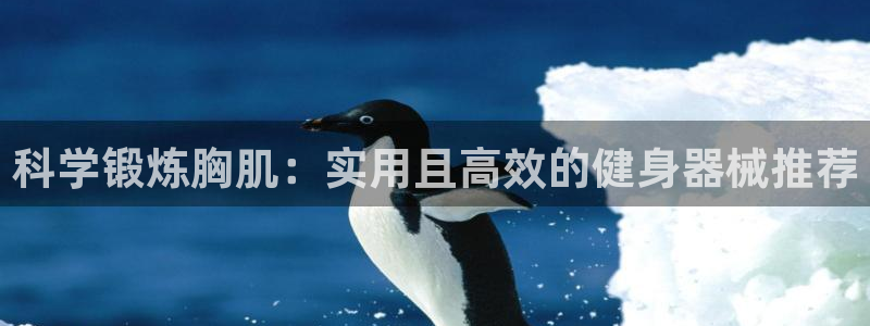征途国际平台是正规平台吗：科学锻炼胸肌：实用且高效的健身器械
