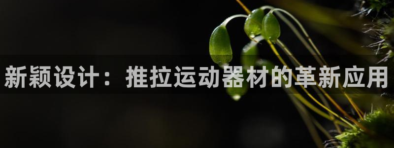 征途国际代理：新颖设计：推拉运动器材的革新应用