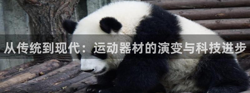 征途国际代理：从传统到现代：运动器材的演变与科技进步