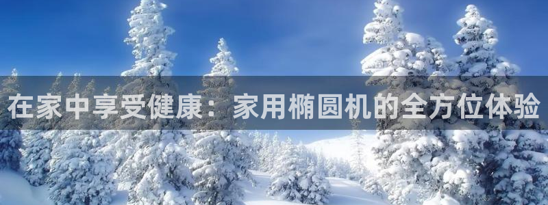 征途国际娱乐是那个系列的台子
