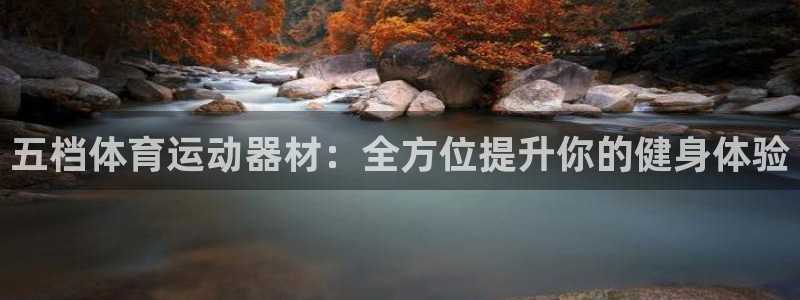 征途国际官方：五档体育运动器材：全方位提升你的健身体验