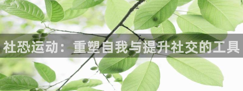 征途国际集团E.ON：社恐运动：重塑自我与提升社交的工具