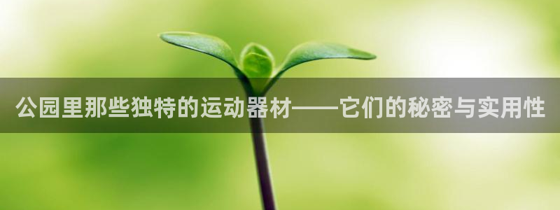 征途国际招商电话号码是多少号：公园里那些独特的运动器材——它