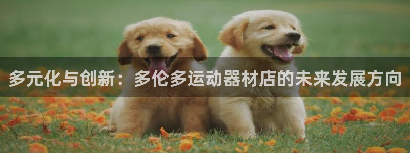 征途国际娱乐40996