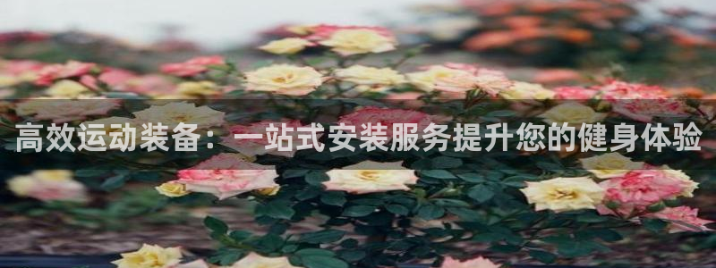 征途国际平台注册：高效运动装备：一站式安装服务提升您