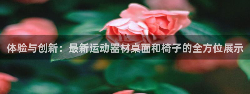 征途国际集团E.ON：体验与创新：最新运动器材桌面和