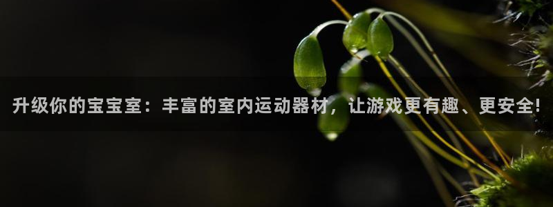 征途国际娱乐首页网站大全：升级你的宝宝室：丰富的室内运动器材