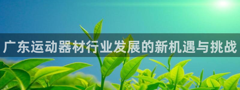征途国际平台假的吗是真的吗吗：广东运动器材行业发展的