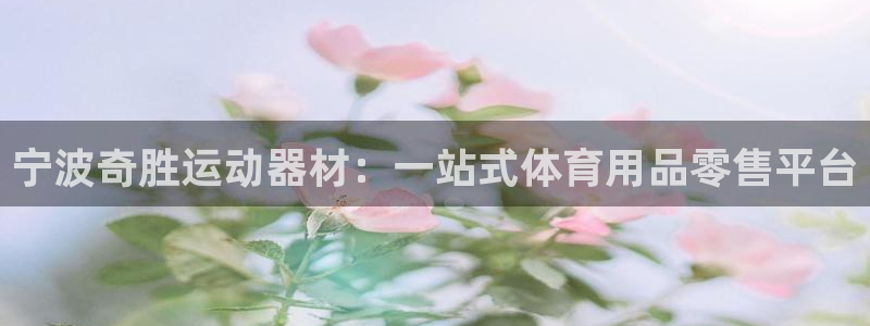 征途国际集团简介：宁波奇胜运动器材：一站式体育用品零售平台