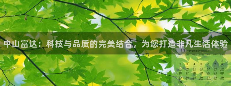 征途国际集团简介：中山富达：科技与品质的完美结合，为