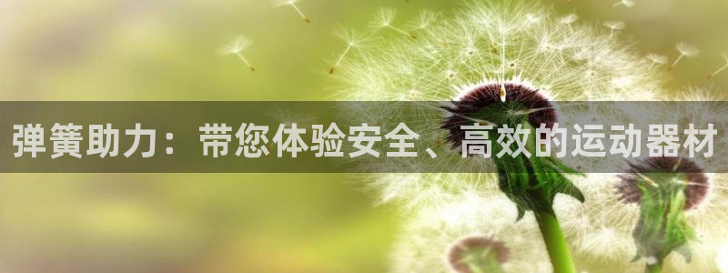 征途国际平台注册要钱吗安全吗：弹簧助力：带您体验安全、高效的