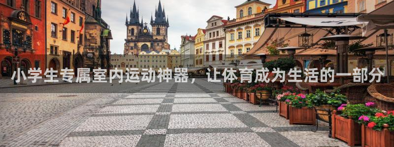 征途国际招商电话地址查询