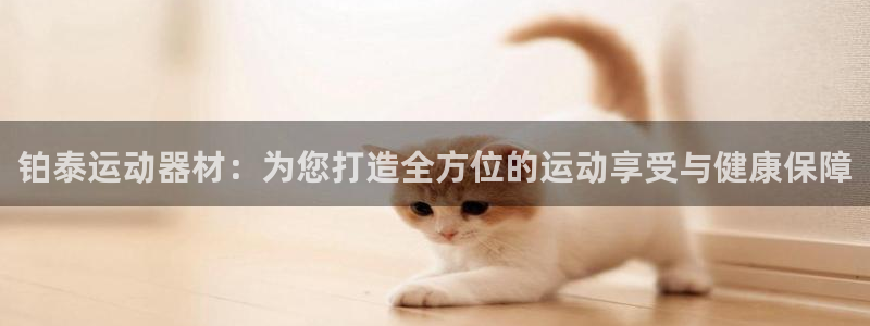 征途国际招商电话是多少