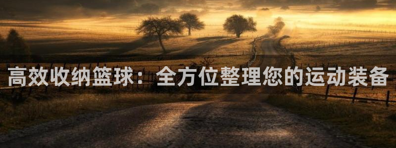 征途国际是干嘛的公司：高效收纳篮球：全方位整理您的运动装备