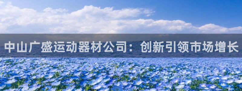 海南征途国际：中山广盛运动器材公司：创新引领市场增长