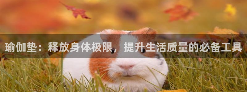 征途国际官方：瑜伽垫：释放身体极限，提升生活质量的必备工具