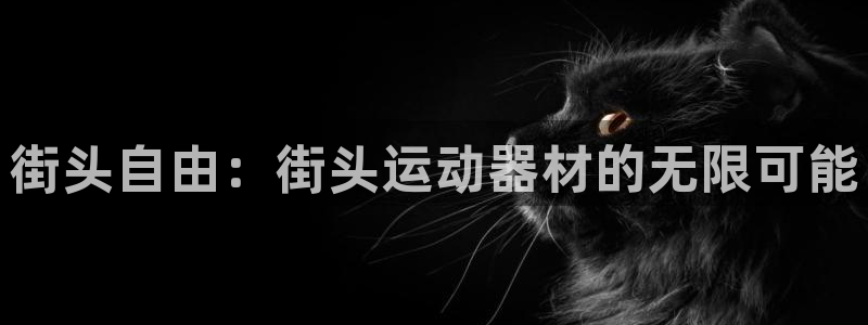 征途国际娱乐是那个系列的台子